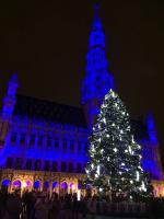 Bruxelles (B), giochi di luce e musica in notturna nella Grand Place, Gennaio 2016