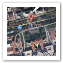 Mappa Ospedale San Camillo Forlanini